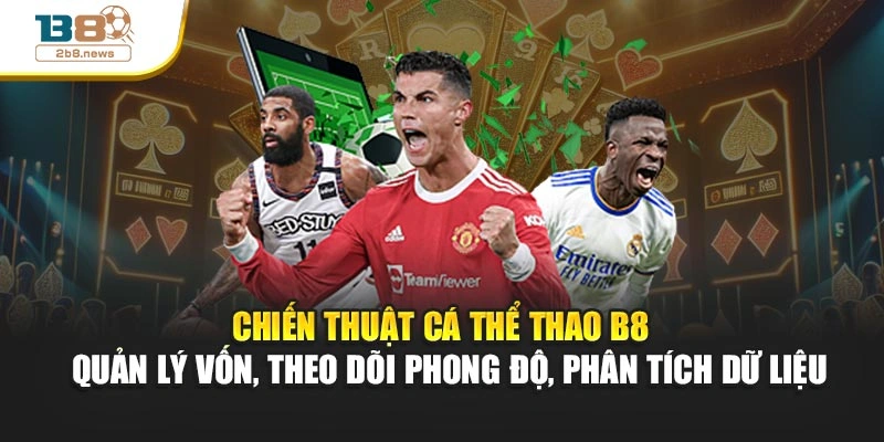 Chiến thuật cá thể thao B8 – Quản lý vốn, theo dõi phong độ, phân tích dữ liệu